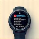 Garmin logo